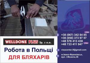 �������� �����  WELLDONE PLUS  ������Ӫ �� ������ �����в� �� ������ ������ �������ֲ� - ����������� 1