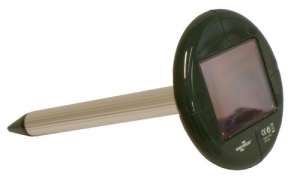 �������� ����� � ������, ������ ����� ������������ �� ����� - ����������� 1