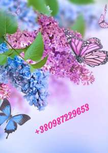 �������� ����� �� ����� - ���������� �������! - ����������� 1