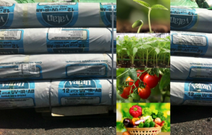 �������� ����� ��� ������� ������ - ����������� 1