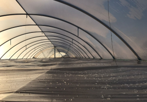 �������� ����� ��� ����������� ������������ � ��������� Vatan Plastik. - ����������� 1