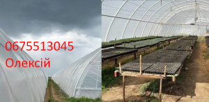 �������� ����� ����� ������ 150 ���: ��������� � ������������ - ����������� 1