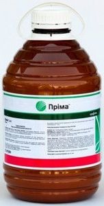 �������� ����� ������ ���� - ����������� 1