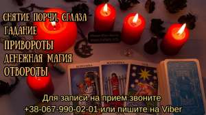 �������� �����. ������ �����. ������� ������. - ����������� 1