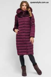 �������� ����� ������� ������, ��������� ���� 2018-2019 - ����������� 1