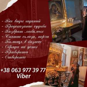 �������� �����. �������. ��������. ������ �����������. - ����������� 1