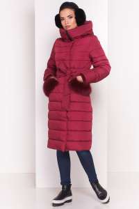 �������� ����� ������� ���������, ������ ���� 2018-2019 - ����������� 1