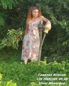 �������� �����. ��������. ������� �� ����. - ����������� 1