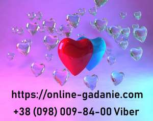 �������� �����. ������-������� �� ������ ���� 2020. ���������. - ����������� 1