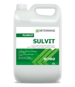 �������� ������ - ����������� 1