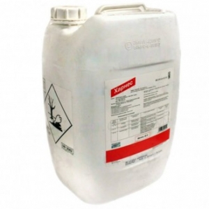 �������� ������ ���� - ����������� 1