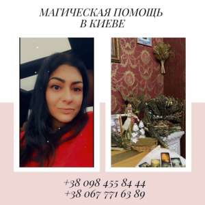 �������� ������ ����. �������. ������ �������. - ����������� 1