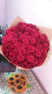 �������� ������ ����� - ����������� 1