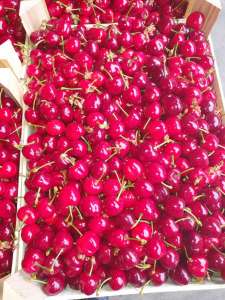 �������� ������ ����� ����� - ����������� 1