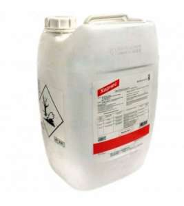 �������� ������ ������ ���� - ����������� 1