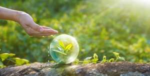 �������� ������ �������� ��� ��������� � ������� ��������� - ����������� 1