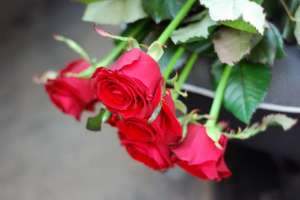 �������� ������ ��������� - ����������� 1