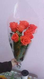 �������� ������ ��������� - ����������� 1