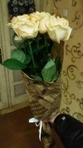 �������� ������ �����-��������� - ����������� 1