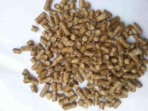 �������� ������� 8�� ����� - ����������� 1