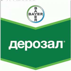 �������� ������� - ����������� 1