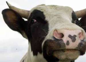 �������� ������� - ����������� 1