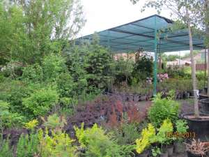 ��������. ������� � �����������-����������. ����. �������. - ����������� 1