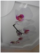 �������� ������� �� 110��� - ����������� 1