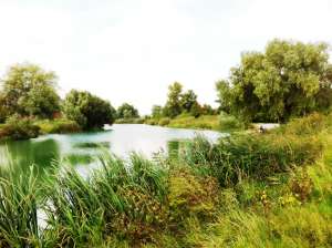 �������� ������� �� 15 ����� � �. �������( ������)! - ����������� 1