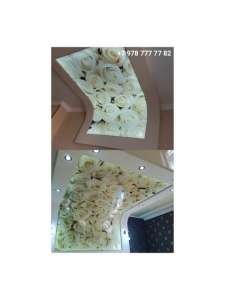 �������� ������� �� �������������� ������ ���� � ����������� - ����������� 1