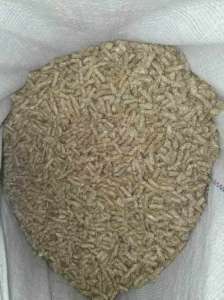 �������� ������� ����. ������� ������� ������ - ����������� 1