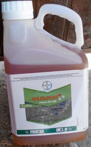 �������� ������� ������ ��������. - ����������� 1