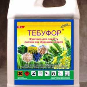 �������� ������� (�������) ������ ��������. - ����������� 1