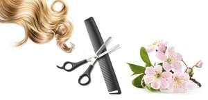 ��������, �������, �������� �����, �������. ����� �������������� ������. - ����������� 1