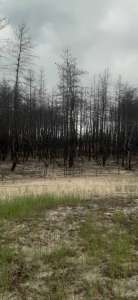 �������� ������� ���������, ��������. - ����������� 1