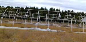 ��������, ������� ������������� ��������� ������� - ����������� 1