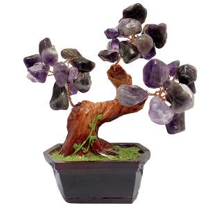 ��������, �������, ������-�������. ������������� ������. - ����������� 1