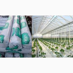 �������� �������Vatan Plastik, ������ - ����������� 1