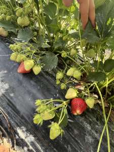 �������� �������� � ������ � ��������� ������, ��������� �������� - ����������� 1