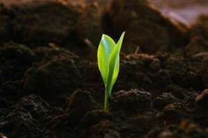 �������� �������� �� ������ � ������� - ����������� 1