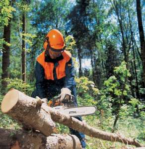 �������� �������� ����.(044)223-92-65. - ����������� 1