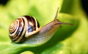 �������� �������� ������ - ����������� 1