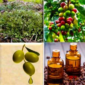 �������� �������� ������� - ����������� 1