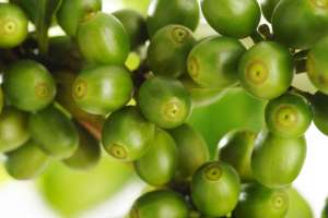 �������� �������� ������� ���� - ����������� 1