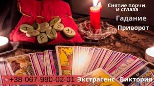 �������� ��������. ������������ ���������. �������. - ����������� 1