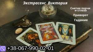 �������� ��������. ������������ ���������. �������. - ����������� 1