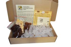 �������� ��������� ��� ������ � ������� - ����������� 1