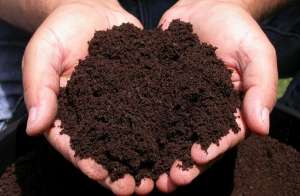 �������� ��������� ��� ������� ��������. ������ - ����������� 1