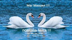 �������� ���������, ����� , �������� �� ����. ����� ������� - ����������� 1