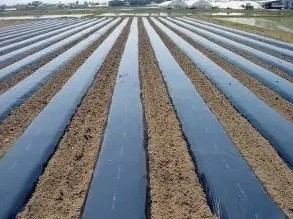 �������� ��������� ����� �������� ��������� - ����������� 1